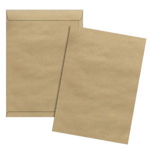 ENVELOPE SACO KRAFT 229X324 COM 250 UNIDADES REF.SKN33 FORONI