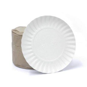 PRATO DE PAPELÃO 192MM 4B C/200 UNIDADES