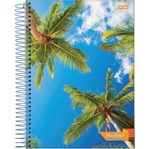 CADERNO 96FLS 1/4 CAPA DURA ESPIRAL BRASILIDADE JANDAIA