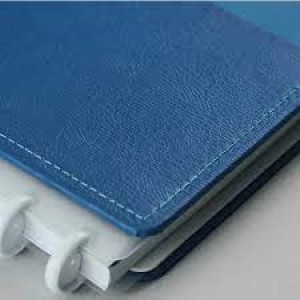 CADERNO INTELIGENTE GRANDE CREATIVE JOURNAL MIGUEL LUZ