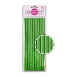 CANUDO DE PAPEL VERDE 6MMx200MM C/12 UNIDADES 4329 MAKE